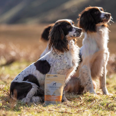 Natural Joint Support Sausages With Turmeric & Black Pepper Grain-Free Dog Treats