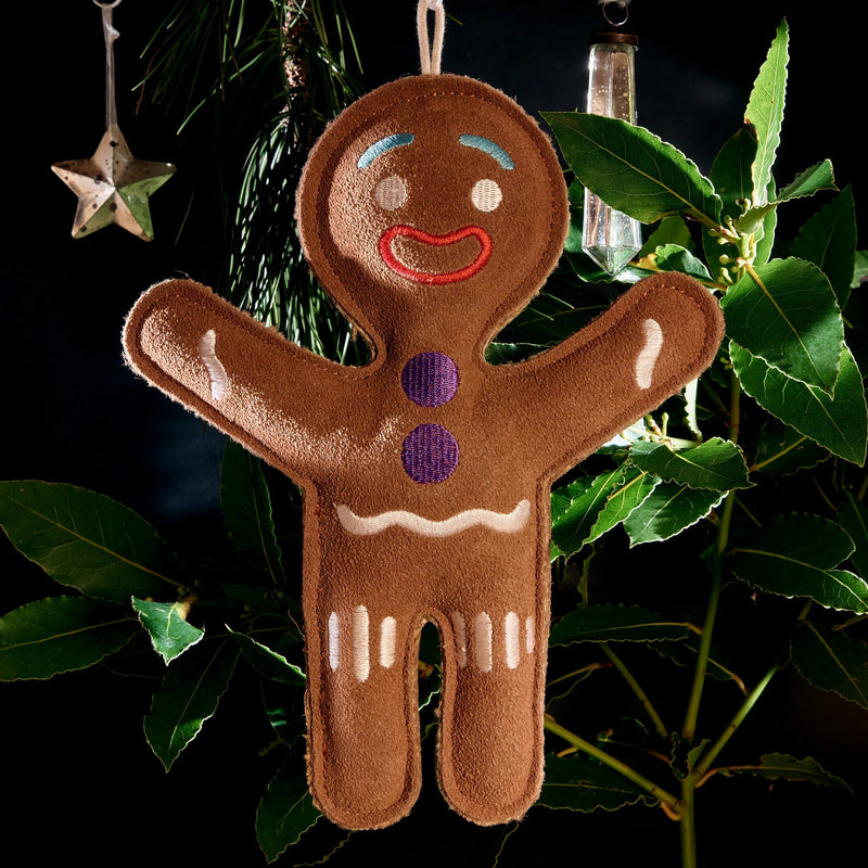 Jean Genie The Gingerbread Person Eco Dog Toy
