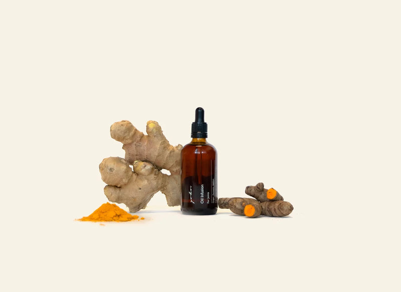 Salmon, Ginger & Turmeric Natural Dog Supplement Oil - For Joints