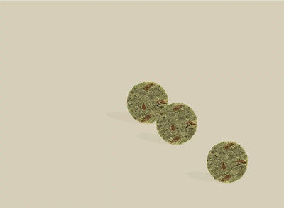 Kale & Seaweed Natural Dog Treat Biscuits