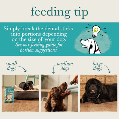 Natural Plant-Based Vegan Dental Sticks For Dogs
