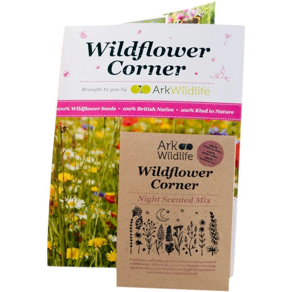 Flowering Lawn Wildflower Seed Mix