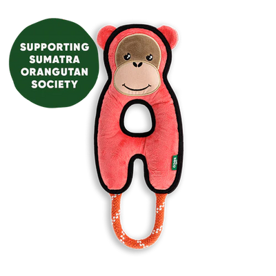 Orla The Orangutan Recycled Rough & Tough Eco Dog Toy