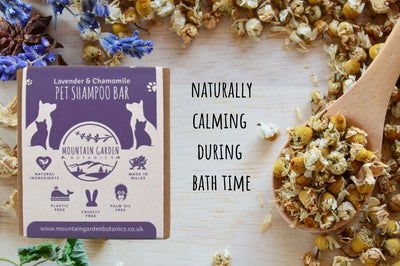 Natural Vegan Pet Shampoo Bar - Lavender & Chamomile