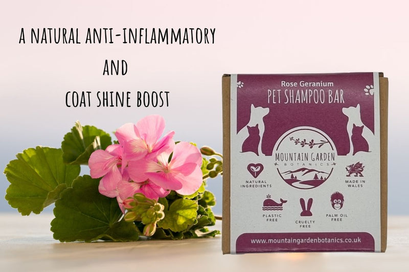 Natural Vegan Pet Shampoo Bar - Rose Geranium