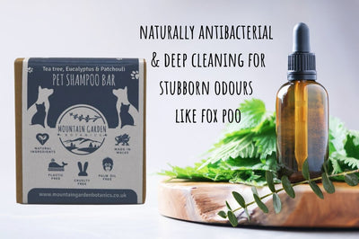 Natural Vegan Pet Shampoo Bar - Tea Tree, Eucalyptus & Patchouli