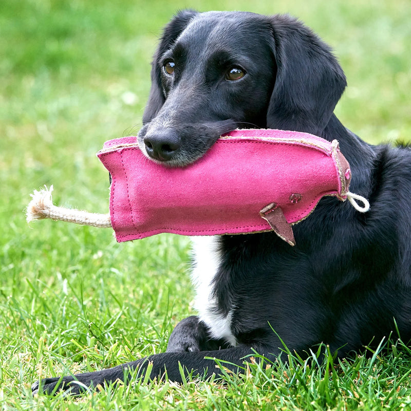 Peggy The Pig Eco Dog Toy