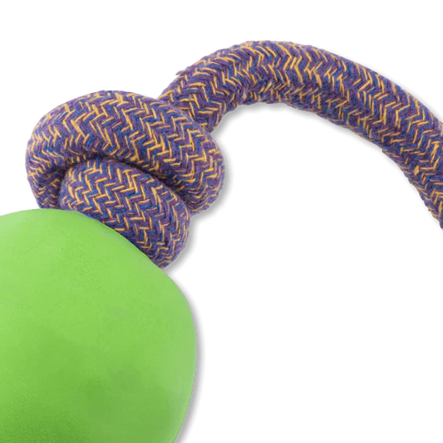 Natural Rubber Ball On Rope Eco Dog Toy - Green