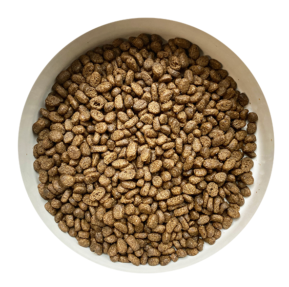 Natural Salmon Dry Cat Food