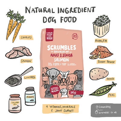 Natural Salmon Dry Dog Food