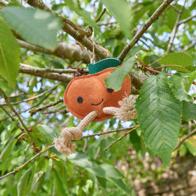 Sancho The Satsuma Eco Cat & Dog Toy