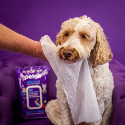 AllRound Giant Pet Towels - 50 Biodegradable Pet Wipes