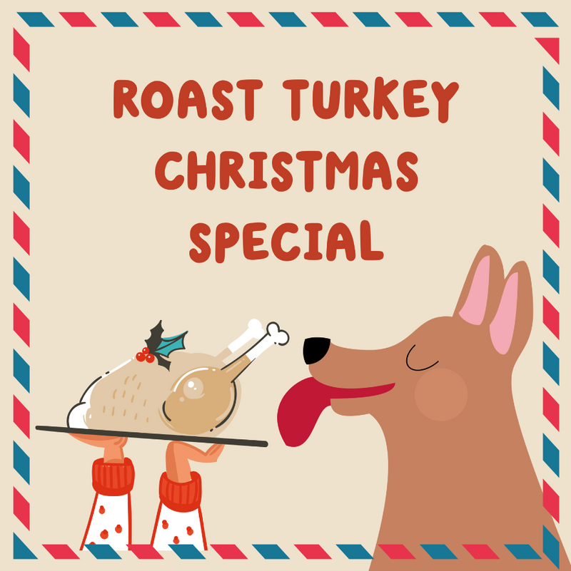 Vegan Roast Turkey Christmas Meaty Bubbles For Dogs - 150ml