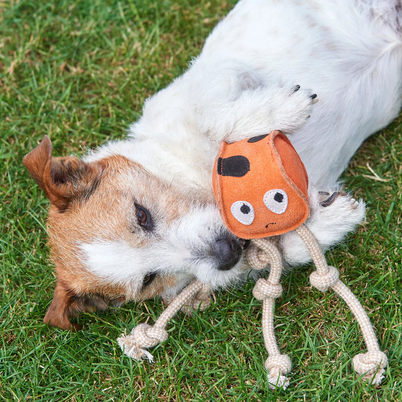 Sid The Squid Eco Dog Toy