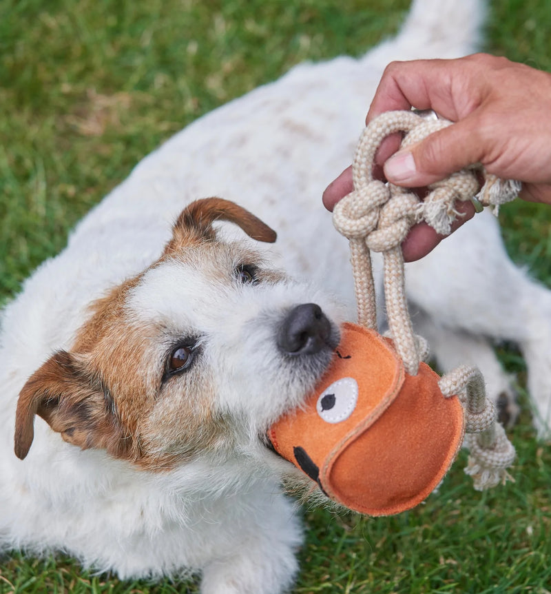 Sid The Squid Eco Dog Toy