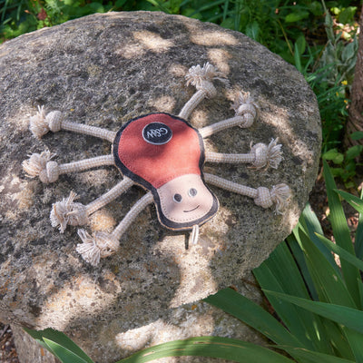 Spike The Spider Eco Dog Toy