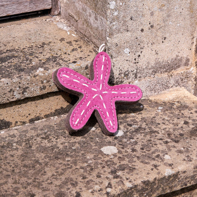 Stanley The Starfish Eco Dog Toy