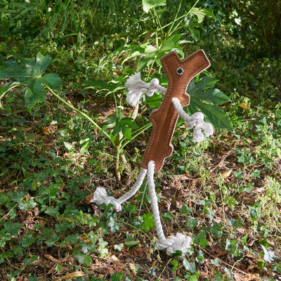 Stick Man Eco Dog Toy