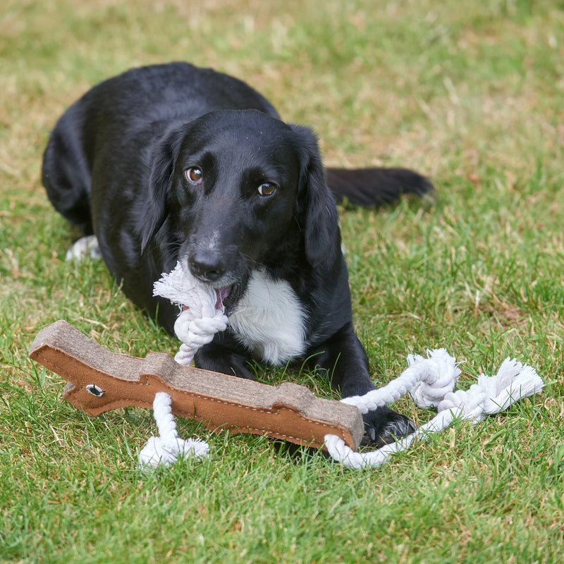 Stick Man Eco Dog Toy