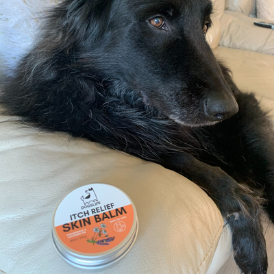 Natural Itch Relief Skin Balm