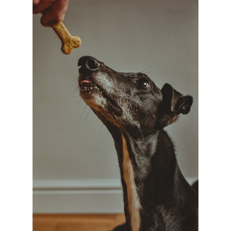 Natural Peanut Butter Dog Biscuits - Poochbutter