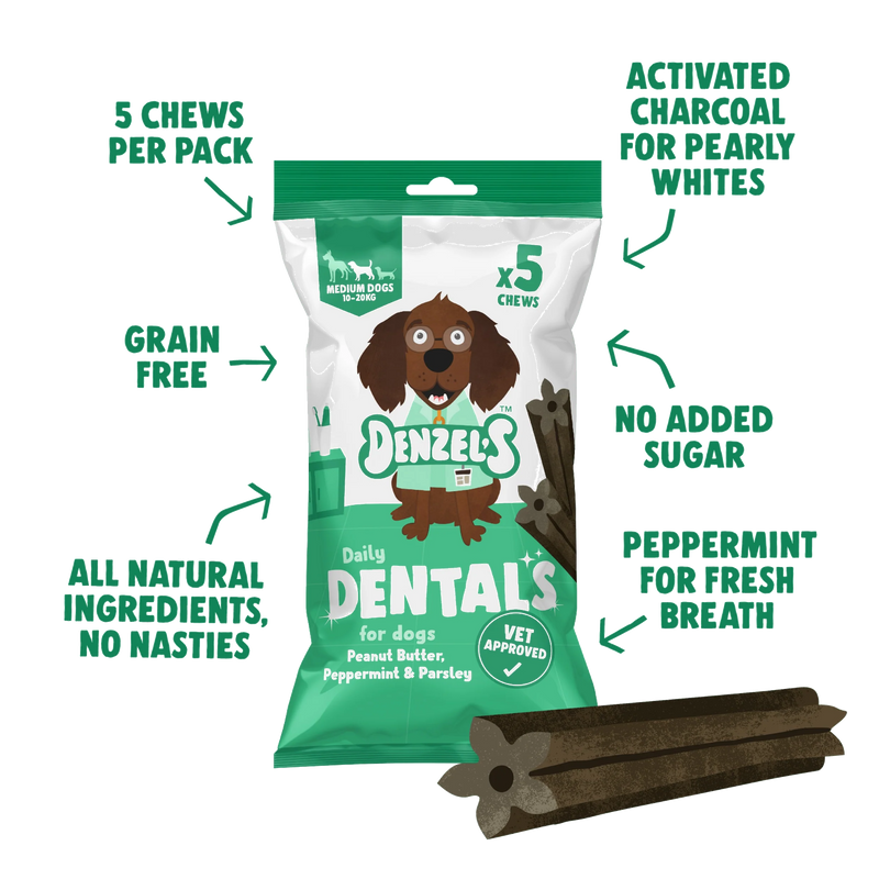 Natural Vegan Daily Dentals Peanut Butter Peppermint & Parsley - Plastic Free