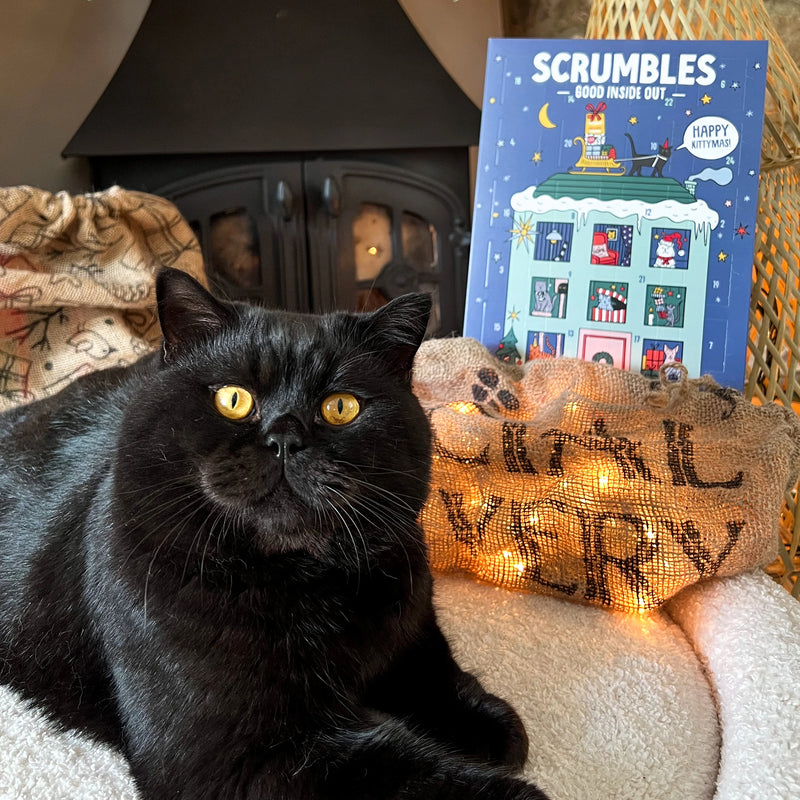 Natural Cat Advent Calendar Pets Of The Earth natural-cat-advent-calendar-pets-of-the-earth