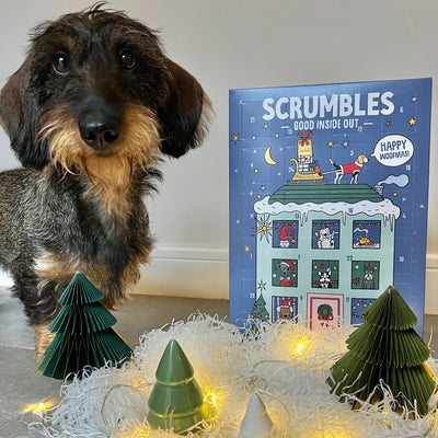 Natural Dog Advent Calendar