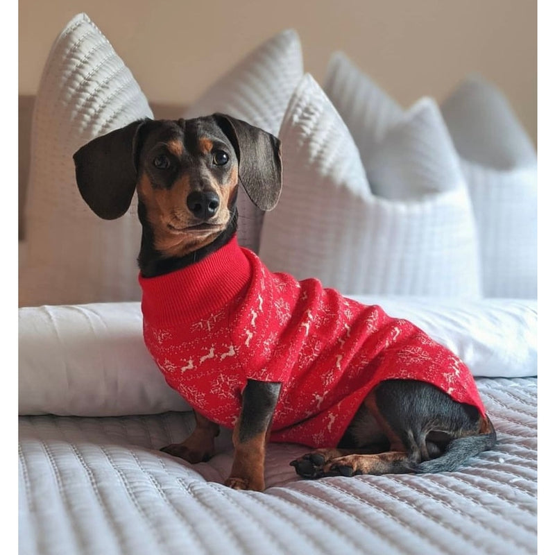 The Fairisle Dog Jumper