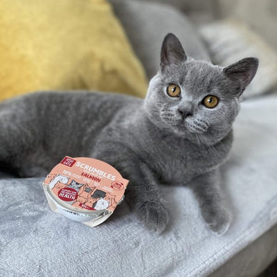 Natural Salmon Wet Cat Food