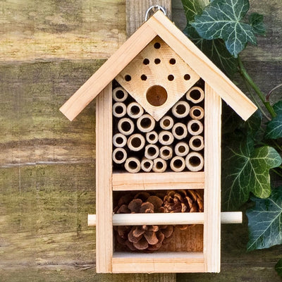 Nooks & Crannies Insect House