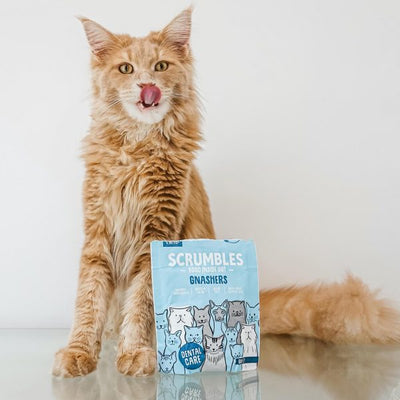 Natural Mini Gnashers Cat Dental Treats