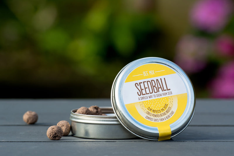 Seedball Wildflower Tin - Bee Mix