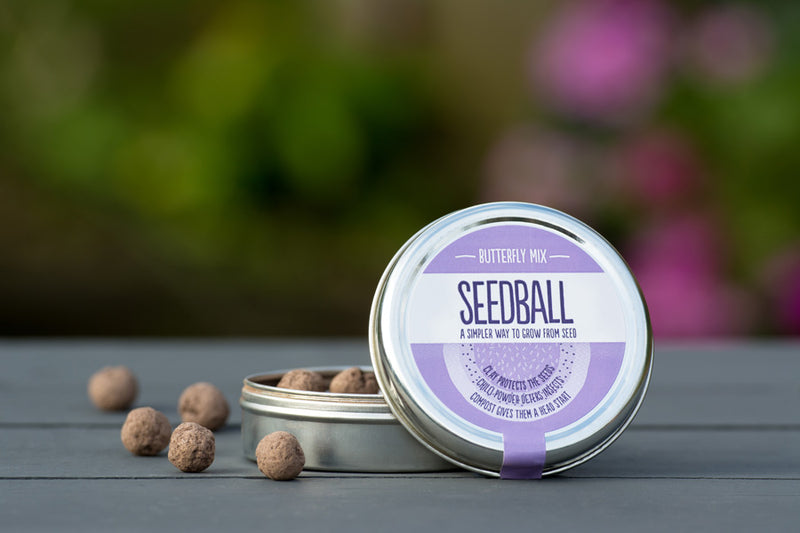 Seedball Wildflower Tin - Butterfly Mix