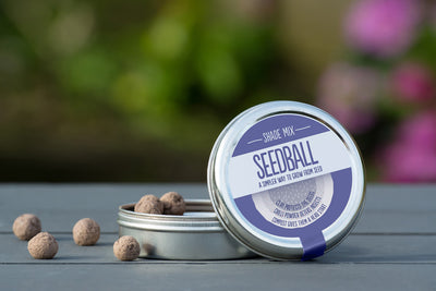 Seedball Wildflower Tin - Shade Mix