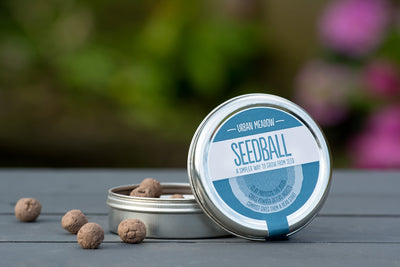 Seedball Wildflower Tin - Urban Meadow Mix