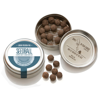 Seedball Wildflower Tin - Urban Meadow Mix